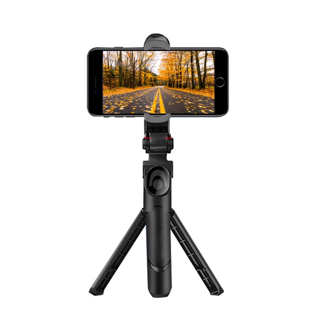 4626